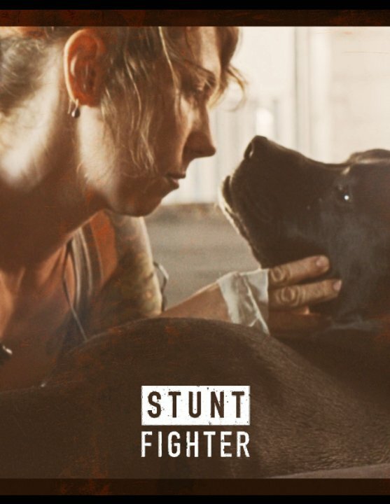 Постер Stunt Fighter