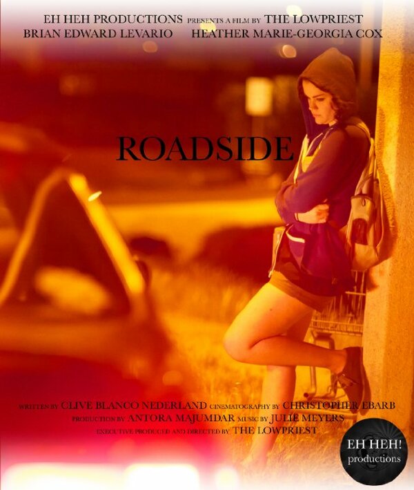 Постер Roadside