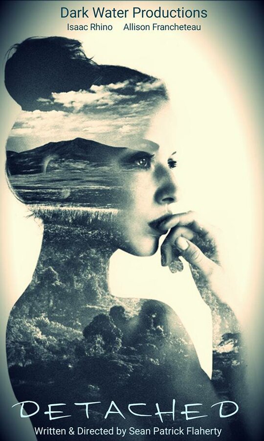 Постер Detached