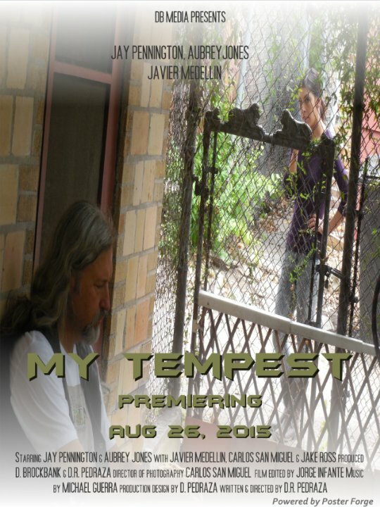Постер My Tempest