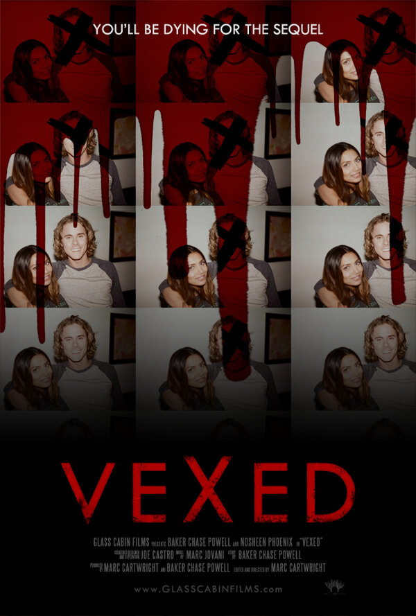 Постер Vexed