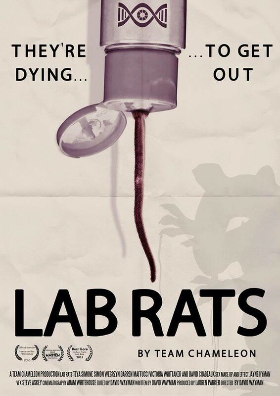 Постер Lab Rats