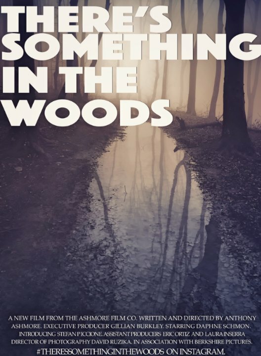 Постер There's Something in The Woods