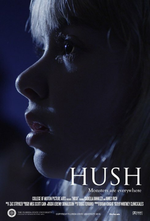 Постер Hush