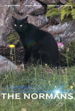 Постер The Normans