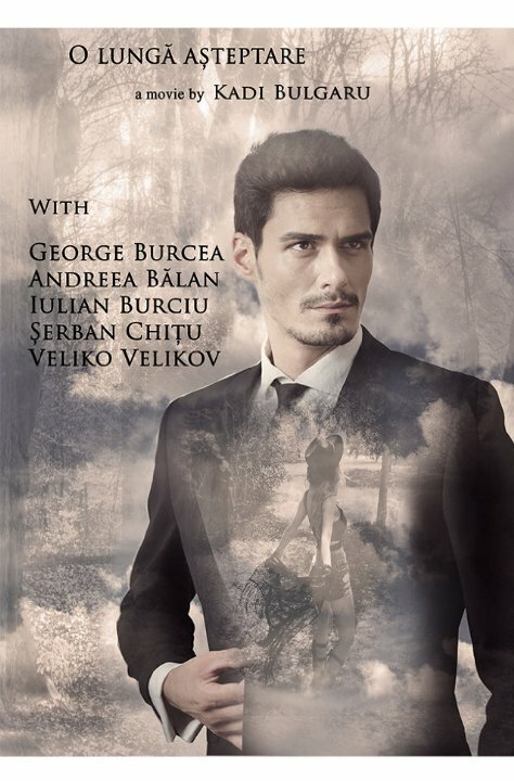 Постер O lunga asteptare