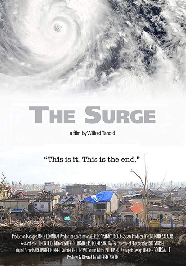 Постер The Surge