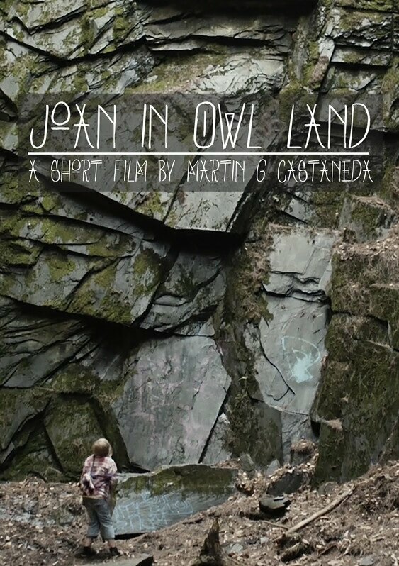 Постер Joan in Owl Land