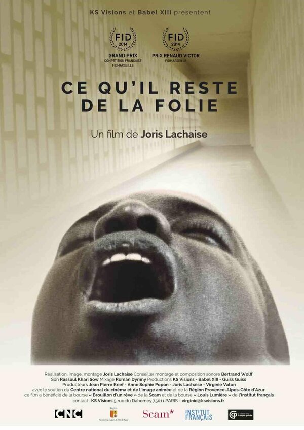Постер Ce qu'il reste de la folie