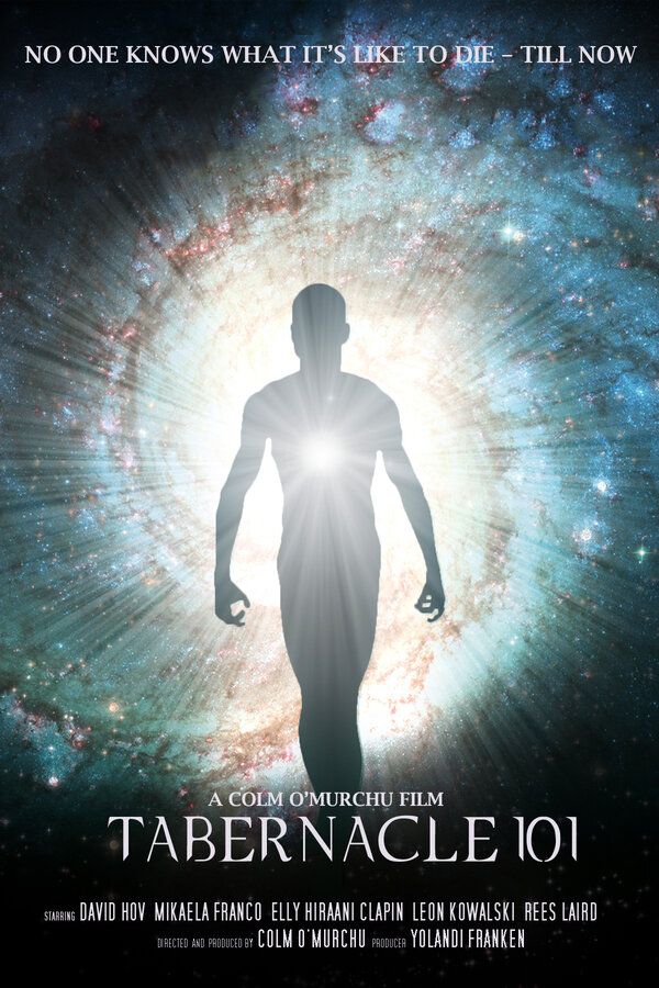 Постер Скиния 101