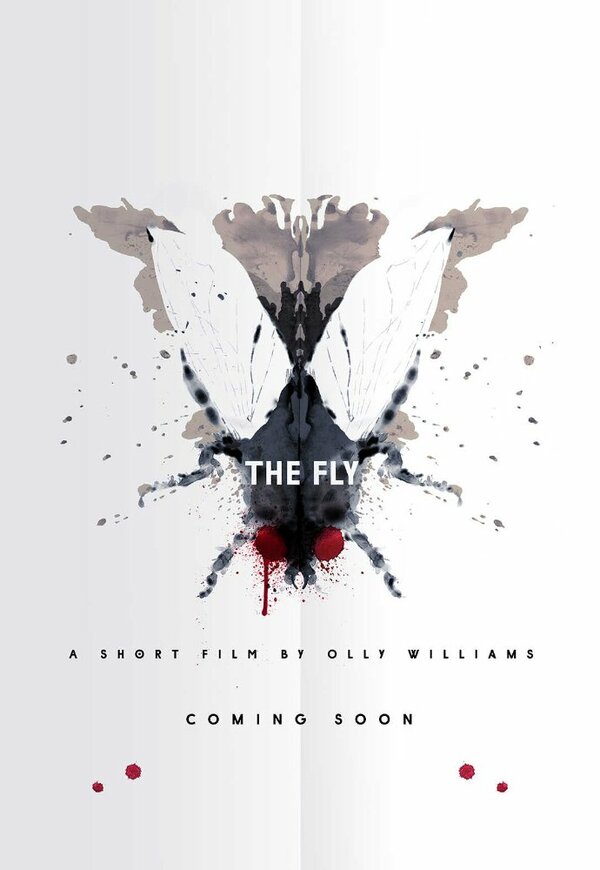 Постер Муха