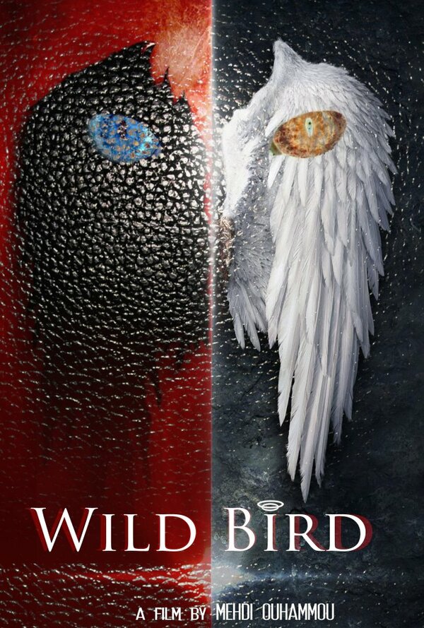Постер Wild Bird