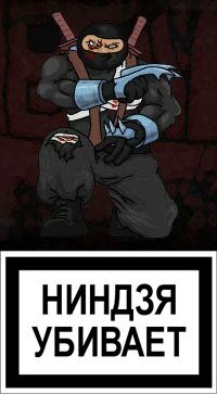 Постер Ниндзя в деле
