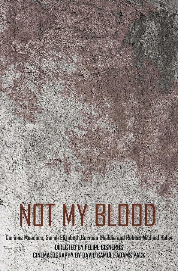 Постер Не моя кровь
