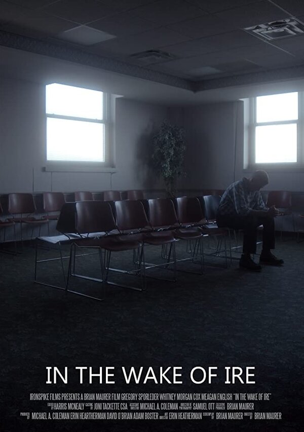 Постер In the Wake of Ire