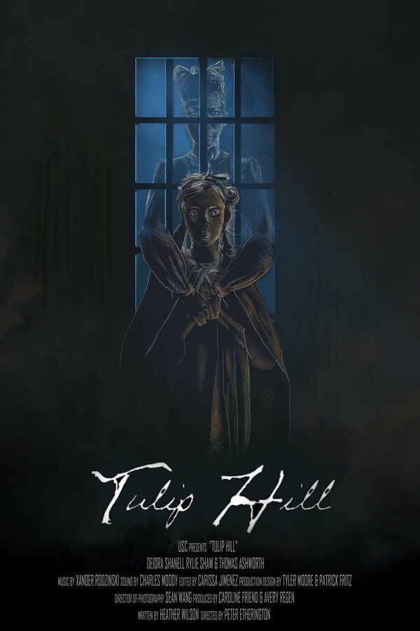 Постер Холм тюльпанов