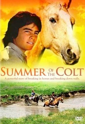 Постер Фьерро... Тайны одного лета