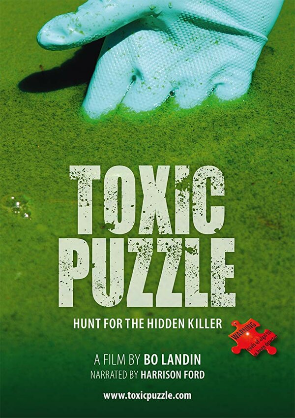 Постер Toxic Puzzle