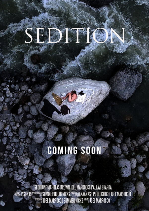 Постер Sedition
