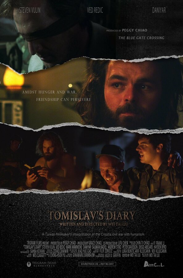 Постер Tomislav's Diary