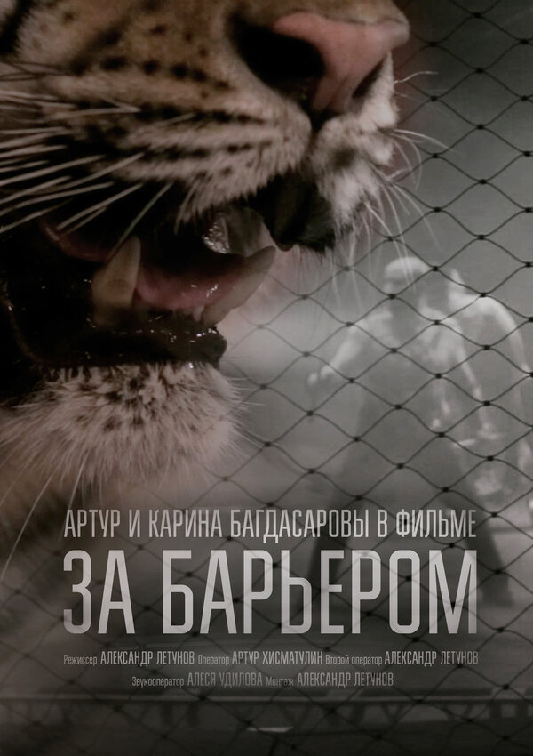 Постер За барьером