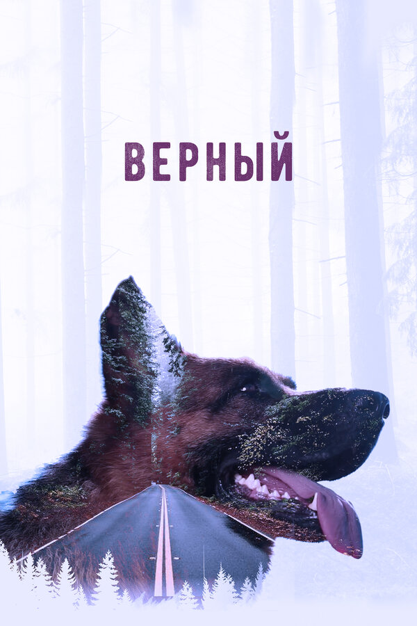 Постер Верный